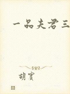 一品夫君三流妻