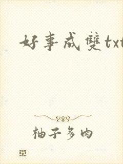 好事成双txt
