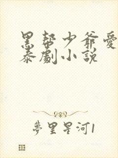 黑帮少爷爱上我泰剧小说