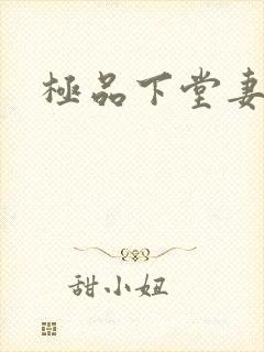 极品下堂妻