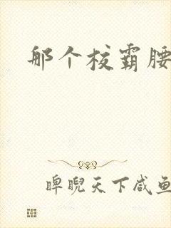 那个校霸腰好软