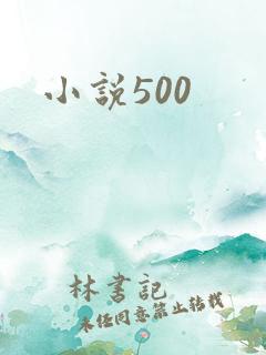 小说500
