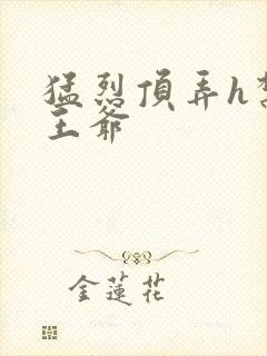 猛烈顶弄h禁欲王爷