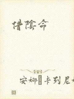 借阴命
