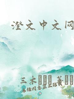 澄文中文网
