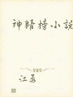 神精榜小说