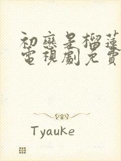 初恋是榴莲先生电视剧免费观看