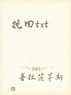 挽回txt