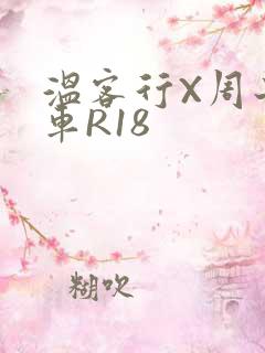 温客行X周子舒车R18