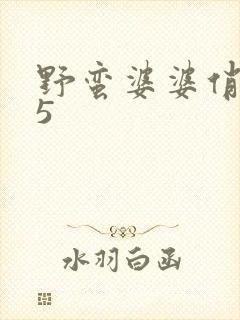 野蛮婆婆俏媳妇5