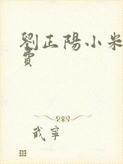 刘正阳小米多免费