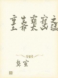 重生霸宠之摄政王爷太凶猛