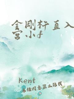 金刚杵直入莲花宫小f