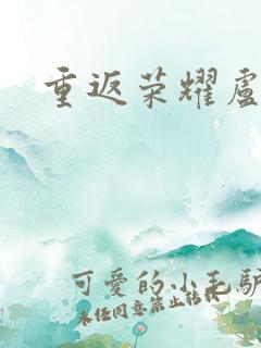 重返荣耀卢正雨