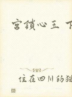宫锁心玉 下载