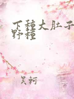下种大肚子怀孕野种