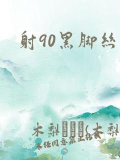 射90黑脚丝女