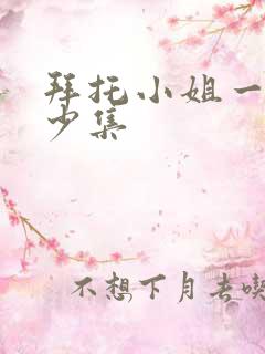 拜托小姐一共多少集