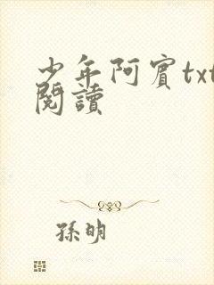 少年阿宾txt阅读