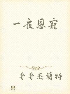 一夜恩宠