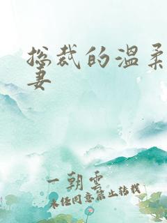 总裁的温柔乖乖妻