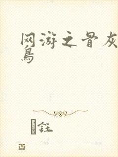 网游之骨灰级菜鸟