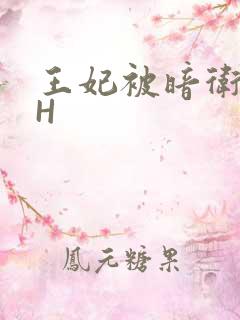 王妃被暗卫肉高H