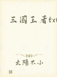 三国王者txt