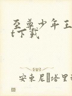 至尊少年王txt下载