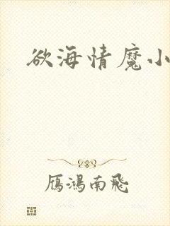 欲海情魔小说