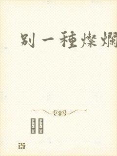 别一种灿烂生活