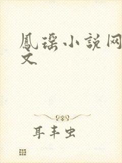凤瑶小说网高辣文
