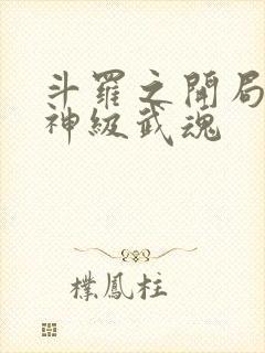 斗罗之开局签到神级武魂