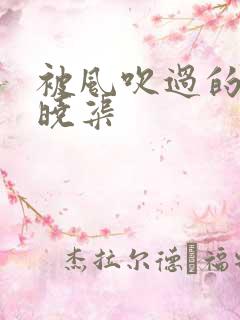 被风吹过的夏天晓渠