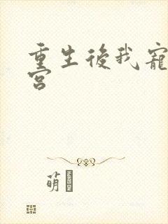 重生后我宠冠东宫