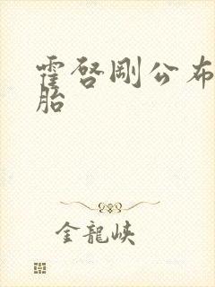 霍启刚公布龙凤胎