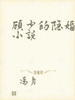 顾少的隐婚罪妻小说