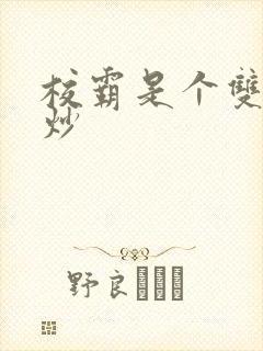 校霸是个双被爆炒