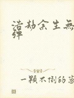 浩劫余生无限子弹