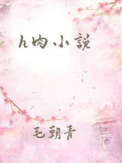 h肉小说