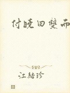 付晓田双面间谍