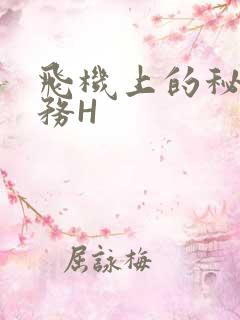 飞机上的秘密服务H