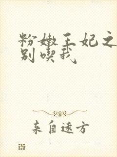 粉嫩王妃之殿下别吃我