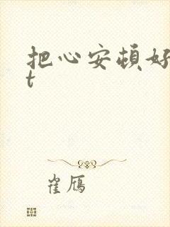把心安顿好txt