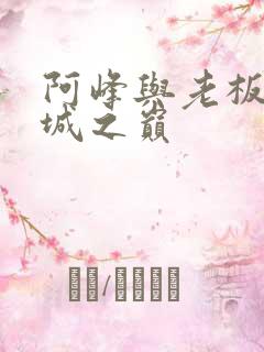 阿峰与老板娘倾城之巅