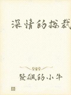 深情的总裁儿子