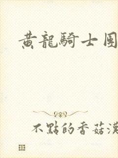 黄龙骑士团论坛