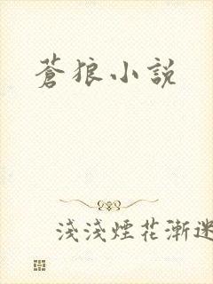 苍狼小说