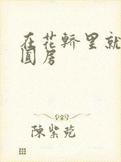 在花轿里就开始圆房