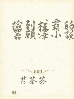 捡到校霸的遥控器顾泽小说免费阅读